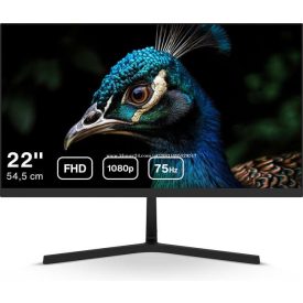 Biztonságtechnikai monitorok